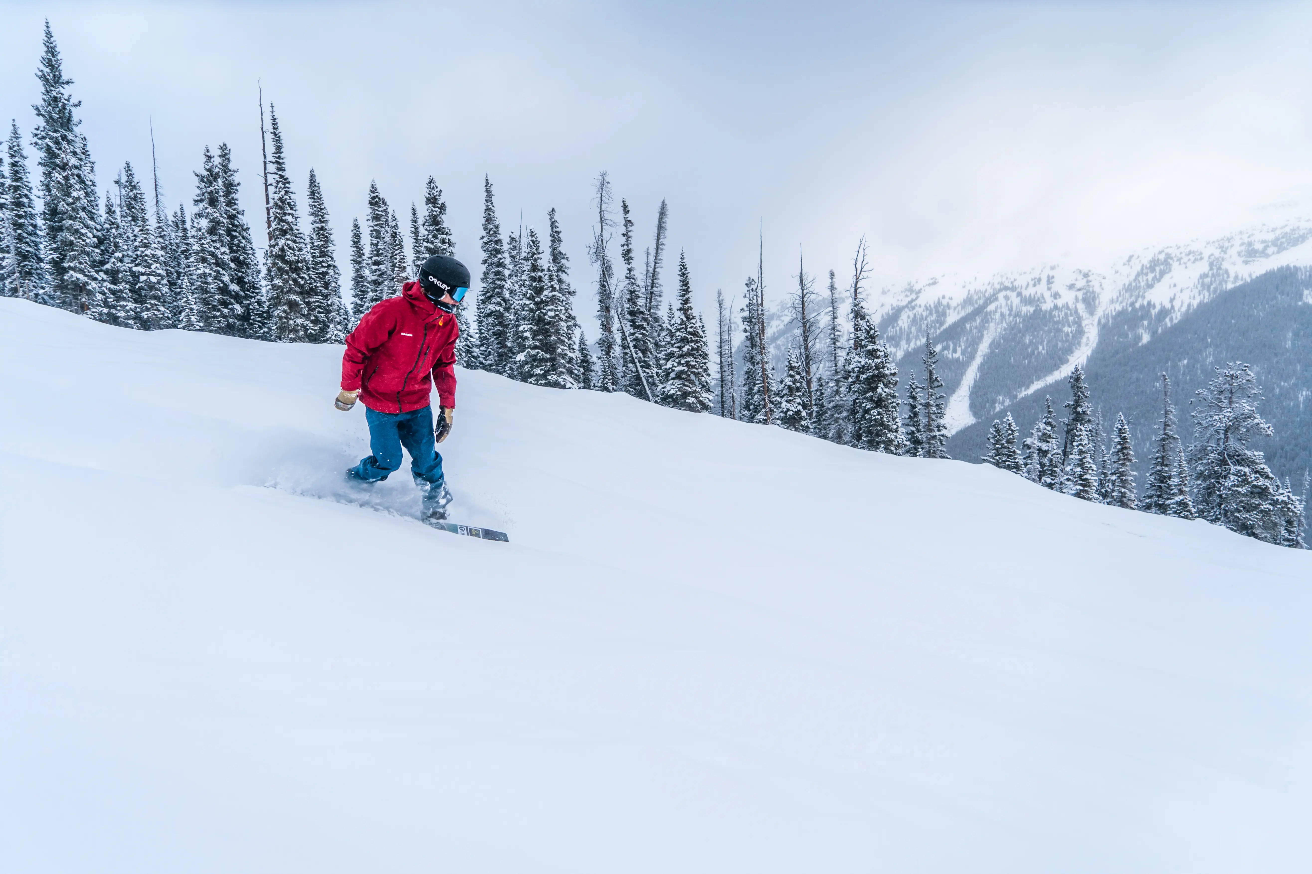 Snowboarder in powder
