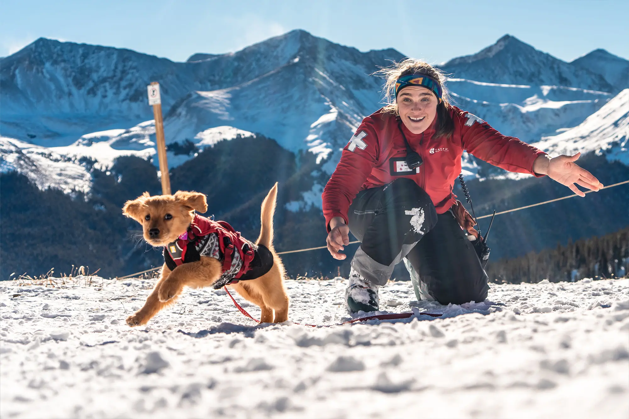 avalanche rescue dog playing in the snow