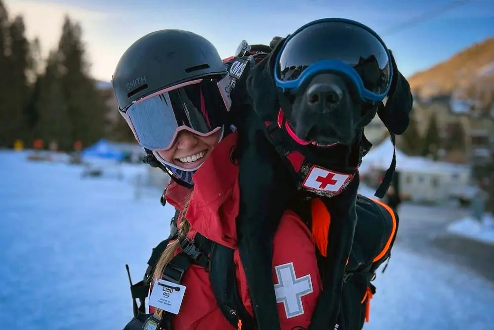 Lillie - avalanche rescue dog