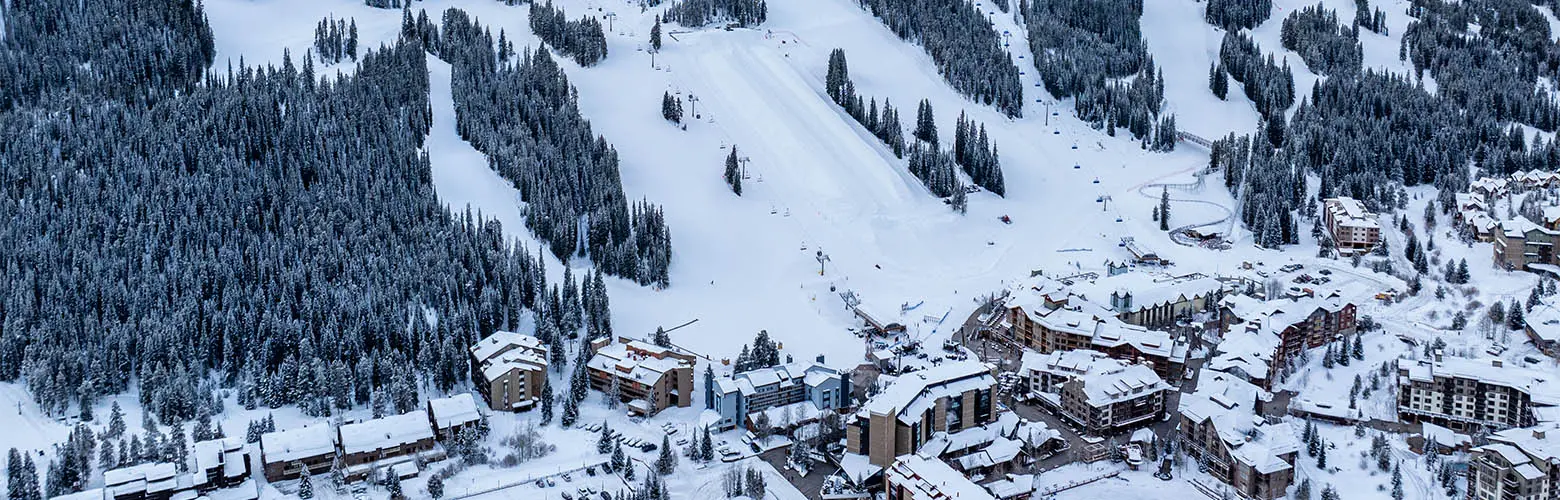 aerial view of center village in the winter