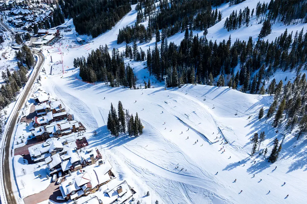 aerial view of a woodward progression park in west village
