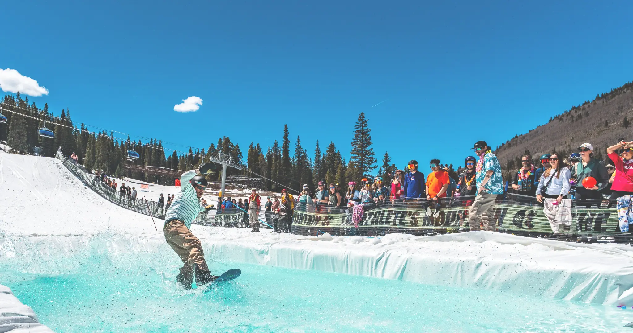 pond skim